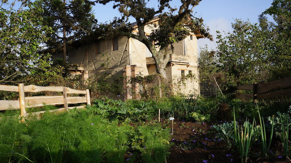 La Casa Del Tilo Bed and Breakfast Hacienda Santa Rosa Eksteriør billede